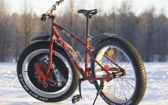 Mad croc fatbike outlet